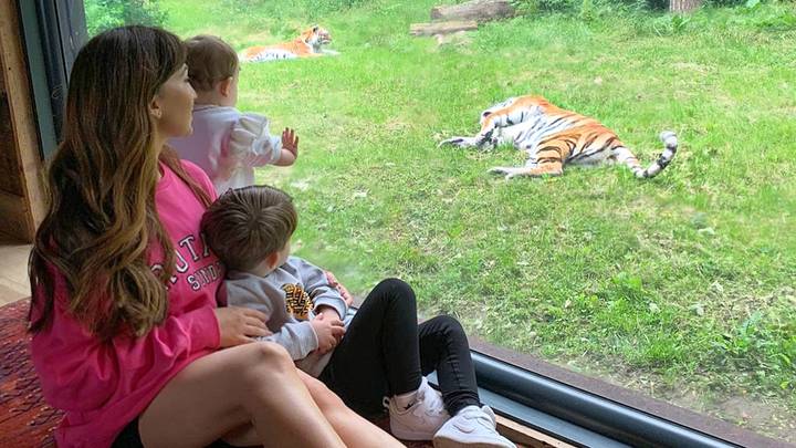 You Can Now Sleep In A Hotel Room With Tigers