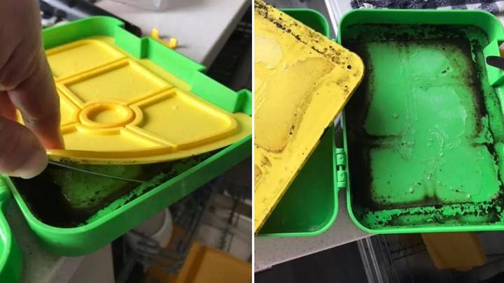 Warning after mum makes grim discovery in her kids’ lunchboxes