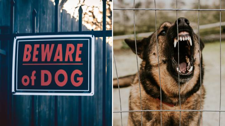 Expert explains why you should never put 'Beware of the Dog' sign on your home