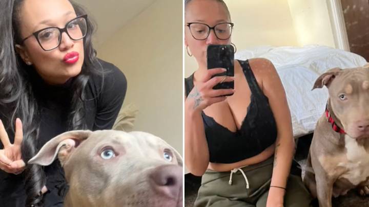 Woman who has XL bully dog insists she'll 'fight to the end' before putting muzzle on her pet
