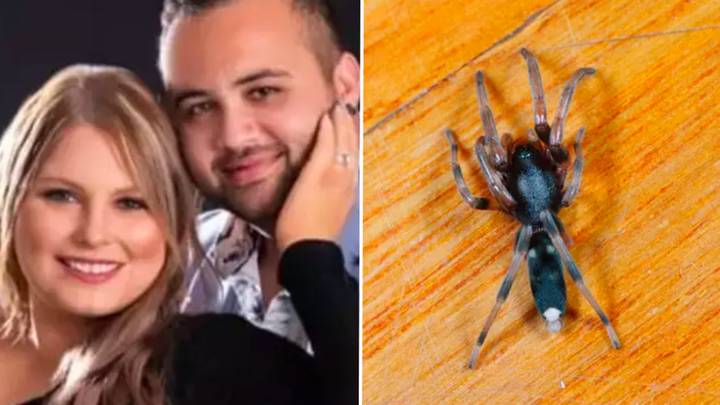 Woman forced to have leg amputated after being bitten by 'harmless' spider