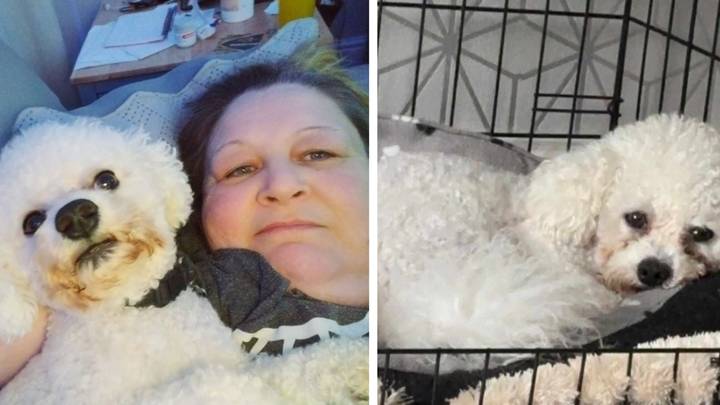 Heartbroken mum issues warning over Home Bargains 99p bone that 'killed' her dog