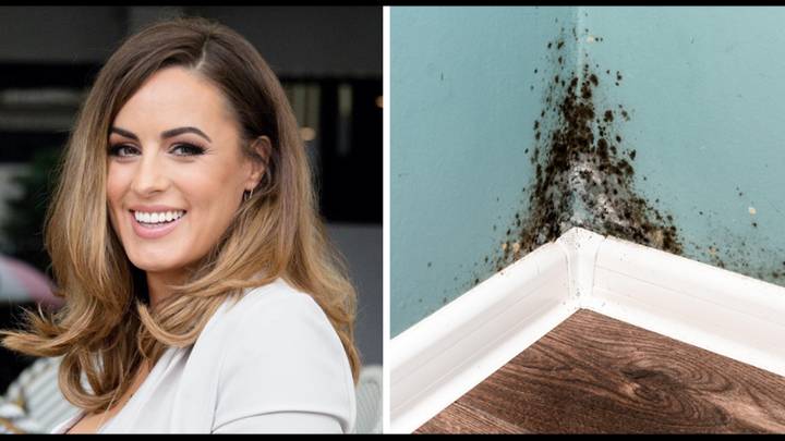 Young woman diagnosed with dementia after home infested with mould