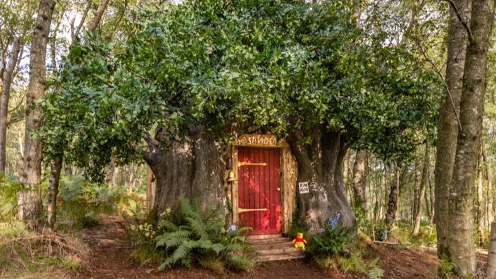 You Can Now Stay At Winnie The Pooh’s House In Hundred Acre Wood With Airbnb
