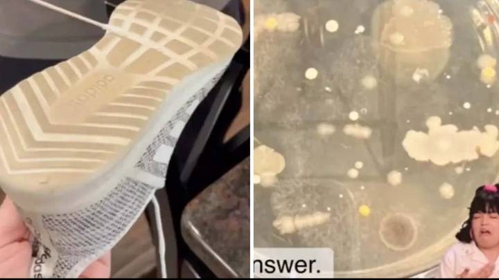 Expert shows the disgusting reason why you should never wear outdoor shoes inside