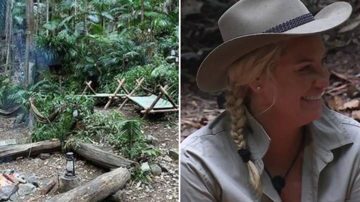 I'm A Celebrity is actually filmed in 'fake' jungle with roof over it