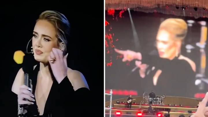 Adele Praised For Stopping Concert When Crowd Needed Help