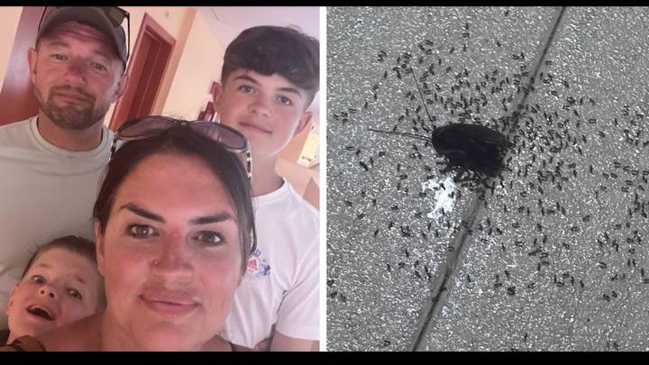Mum claims family were forced to flee £7,000 Jet2 holiday early due to too many cockroaches