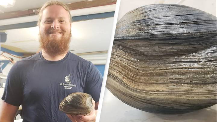 Man finds clam on beach and nearly turned it into food before finding out it's over 200 years old