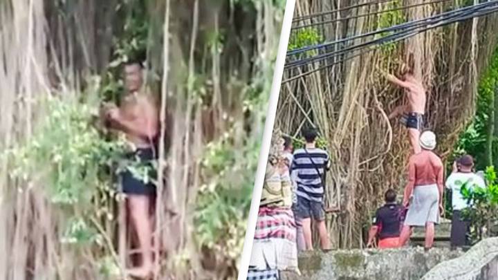 Tourist Ordered To Pay For Forgiveness Ritual After Climbing Sacred Tree In Bali