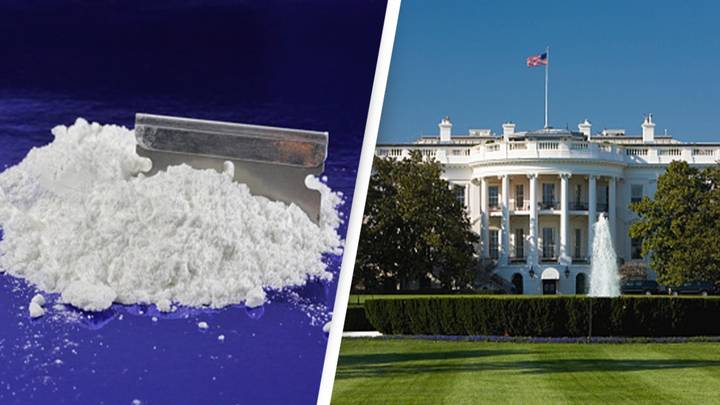 Traces of cocaine have been discovered at the White House