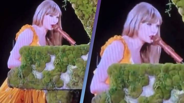 Taylor Swift pauses concert to tell fans not to throw presents on stage as she gets 'freaked out'