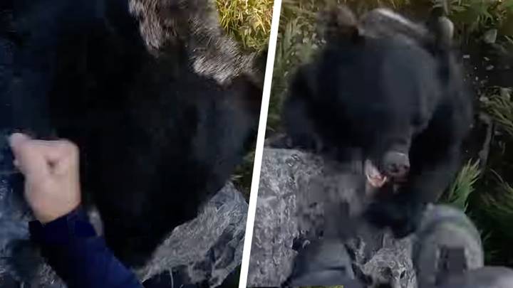 Absolutely wild footage shows man fending off a protective black bear while rock climbing