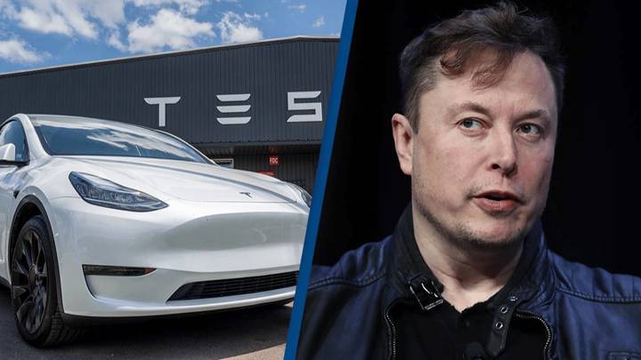 Tesla owner forced to pay $14,000 repair bill one day after buying a ...