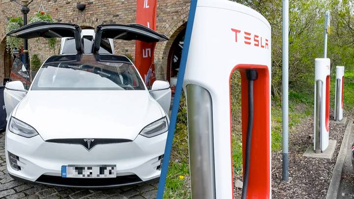 Tesla co-founder tells electric vehicle companies not to be like Tesla