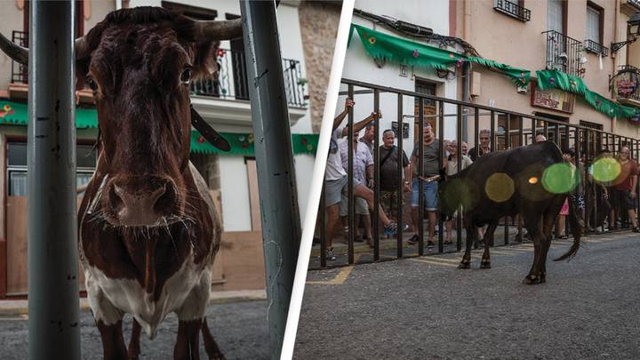 Man gets gored to death at annual Spanish bull running festival