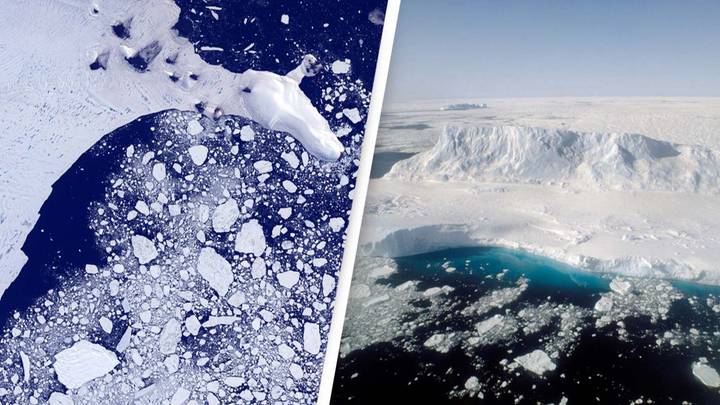 Antarctica is missing an Argentina-sized amount of sea ice and scientists don’t know why