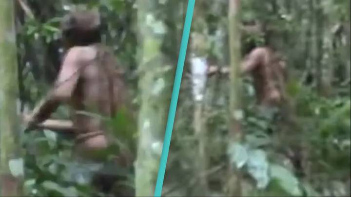 Last member of indigenous tribe dies after living alone in jungle