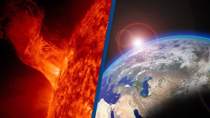 Scientists discover remains of 'catastrophic' solar storm in French forest
