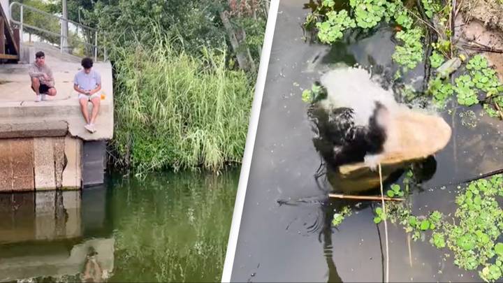 People terrified as gator suddenly appears out of nowhere and attacks in quiet river