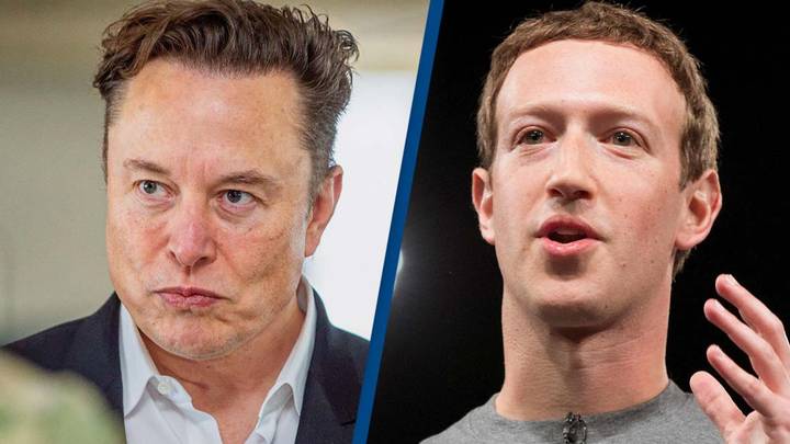 Elon Musk 'up for cage match' with Mark Zuckerberg for working on a Twitter rival