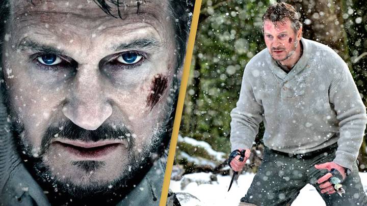The Best Liam Neeson Movie You've Never Seen Is 10 Years Old