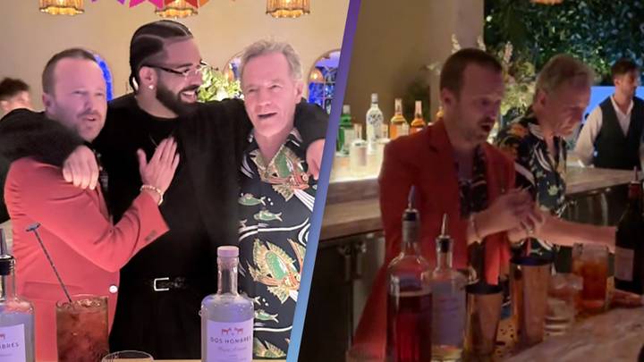 Drake got Breaking Bad stars Bryan Cranston and Aaron Paul to bartend at his birthday party