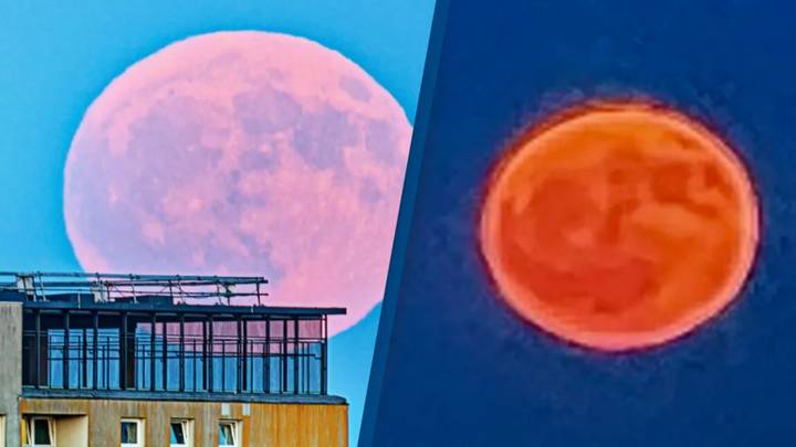 Amazing pictures show Full Strawberry Moon lighting up the night sky