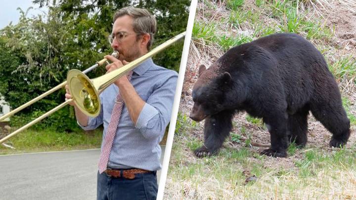 Teacher Protects Students From Black Bear By Playing Trombone