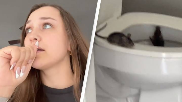 Woman wants to 'move the f-k out' after seeing rats come out of her toilet