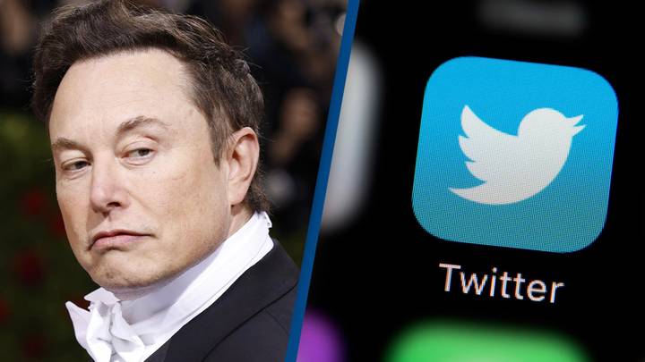Elon Musk claims no one wants to run Twitter after losing poll to decide his future as CEO
