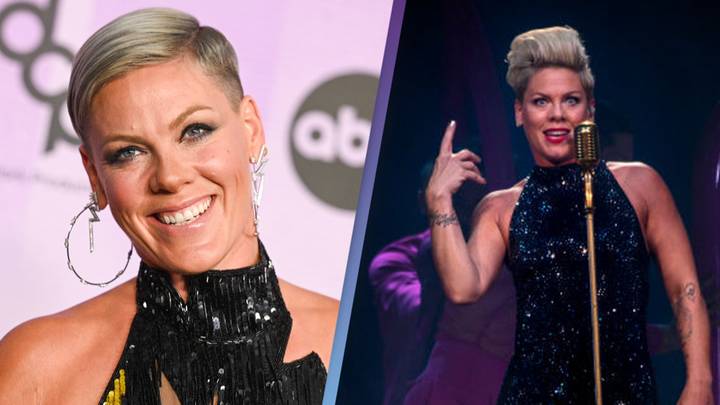 P!nk expertly hit back at troll who said she looked 'old'