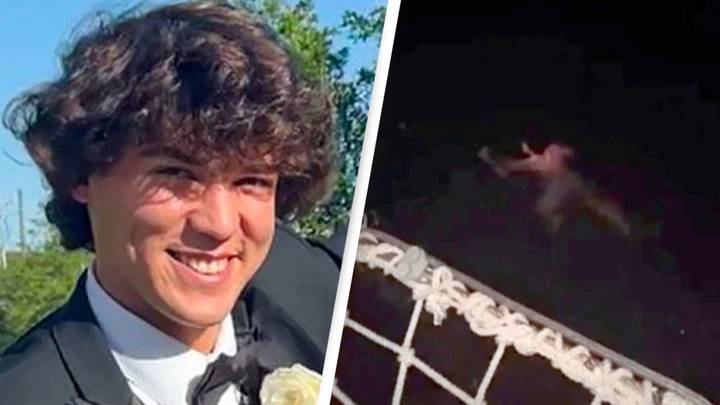 Friends of missing teen tried to stop him from jumping off cruise ship