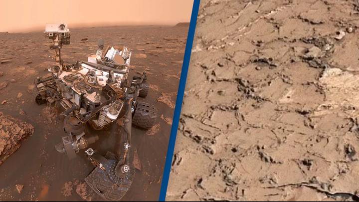 New discovery of cracked mud on Mars has scientists hopeful for possible signs of life