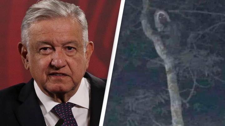 President of Mexico says he has proof of 'mystical' woodland elf