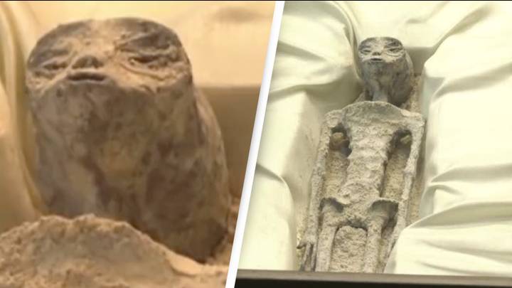 NASA will study '1,000-year-old alien corpses', according to claims