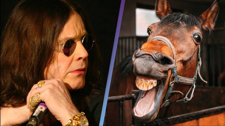 Ozzy Osbourne gave up acid after horse told him to 'f**k off'