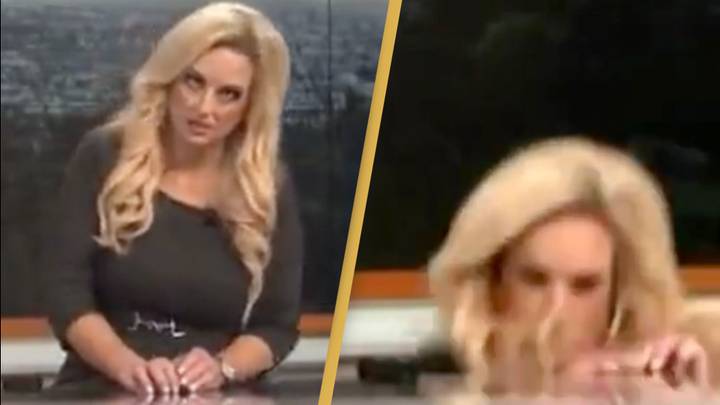 News anchors stunned as weather reporter passes out on live TV in confusing moment