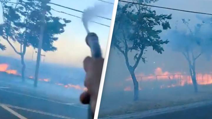 Dramatic new video shows moment that could’ve started devastating Maui wildfires