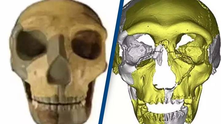 Scientists believe they might have found a new species of human that could completely rewrite evolution