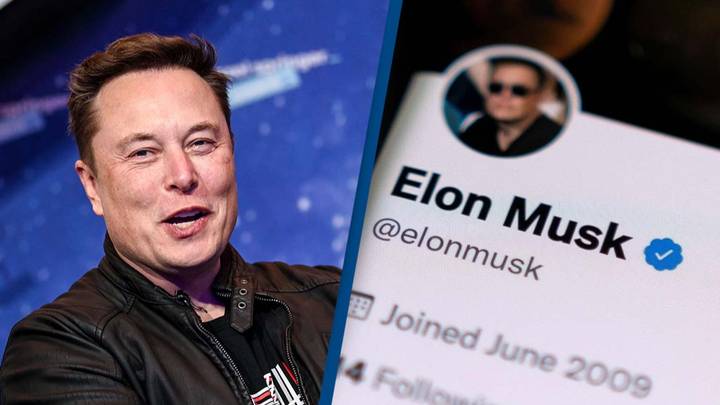 Elon Musk outlines new blue tick benefits for Twitter users