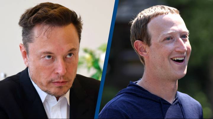 Elon Musk challenges Mark Zuckerberg to a ‘d*** measuring contest' as feud continues