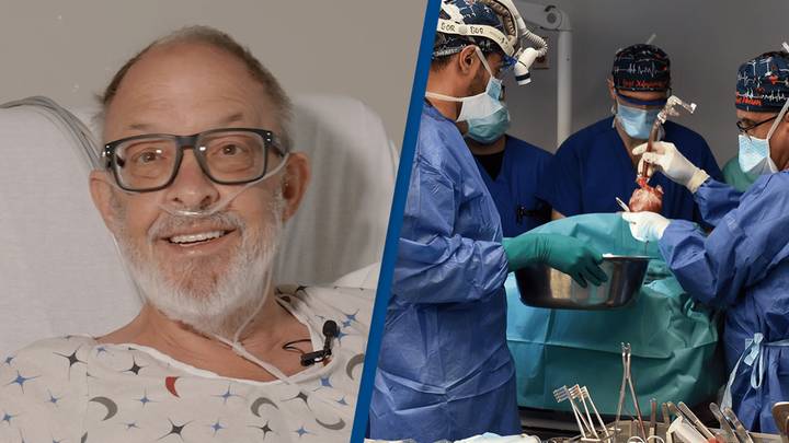 Pig heart transplant: Second recipient dies 40 days after the surgery