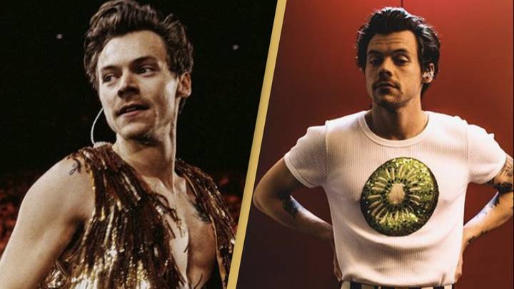 Harry Styles responds to people accusing him of 'queerbaiting'