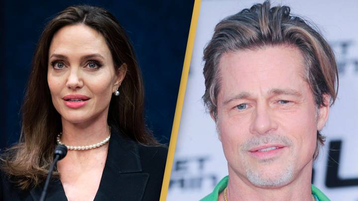 Angelina Jolie filed shocking abuse claims against Brad Pitt