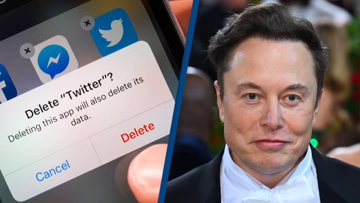 Searches for 'How to delete Twitter' have surged by 500% since Elon Musk took over