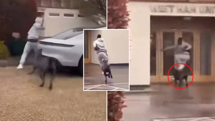 West Ham winger Maxwel Cornet hilariously getting chased by a dog outside Hammers' training complex is a must-watch
