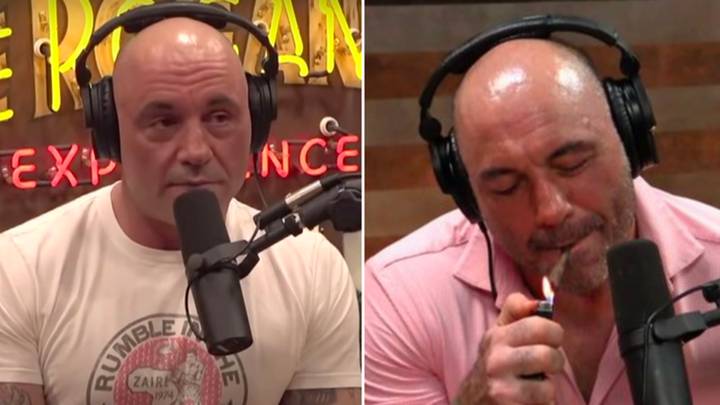 Elon Musk hints at Joe Rogan podcast return after fans' call for new appearance