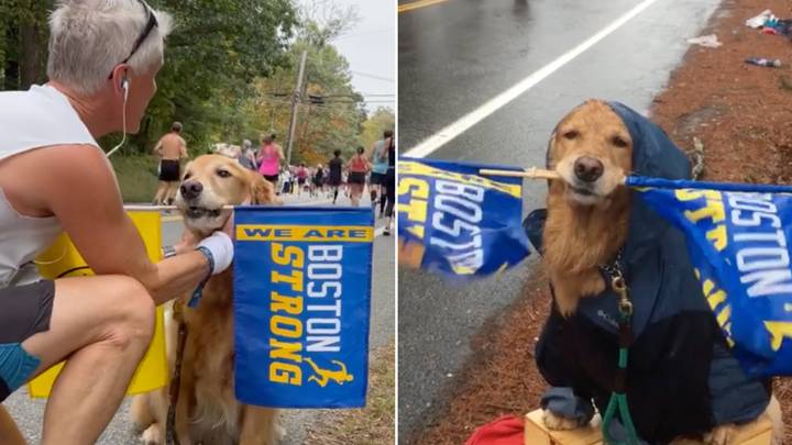Famous dog who was the official cheerleader for the Boston Marathon sadly dies aged 13