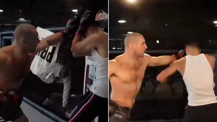 Sean Strickland absolutely batters influencer in sparring fight, ignores towel throws